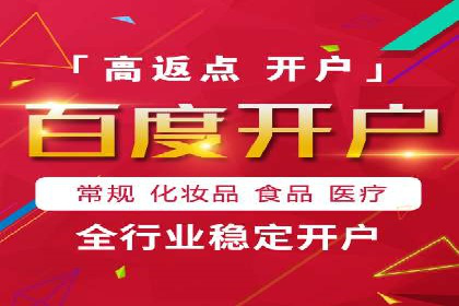 行业领先企业的SEM广告投放策略案例